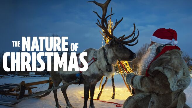 The Nature of Christmas on Discovery Plus