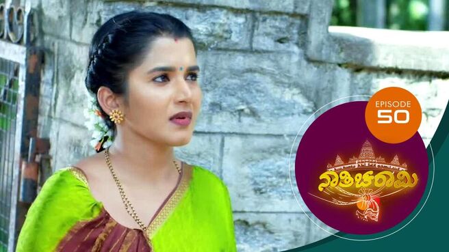 Nathicharami season 1 episode 50 on Sun NXT