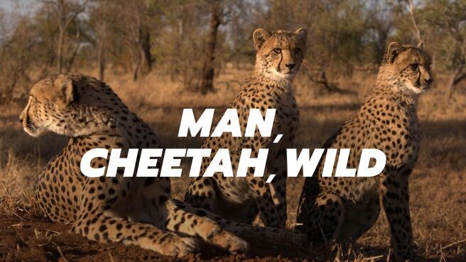 Man, Cheetah, Wild on Discovery Plus