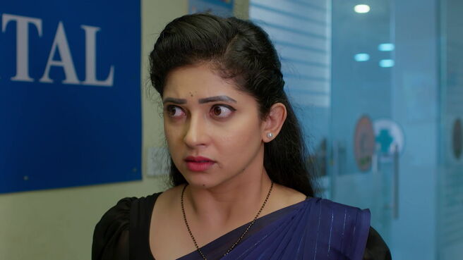 Smart Play - Nindu Noorella Saavasam season 1 episode 45 on Zee5
