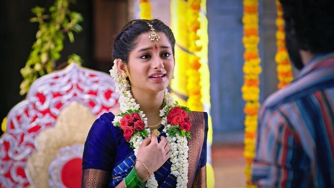 Annayya season 1 episode 21 on Zee5