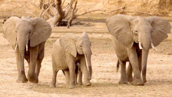 The Big Dry on Discovery Plus