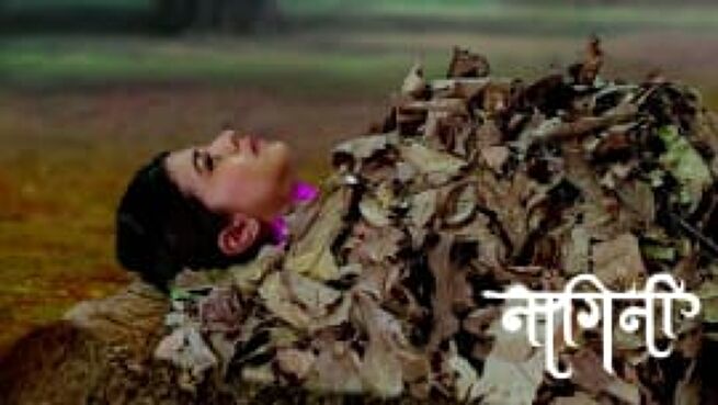 Nagini season 1 episode 170 on Zee5