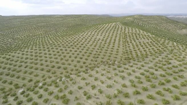 Jungle Planet season 1 episode 18 on Discovery Plus