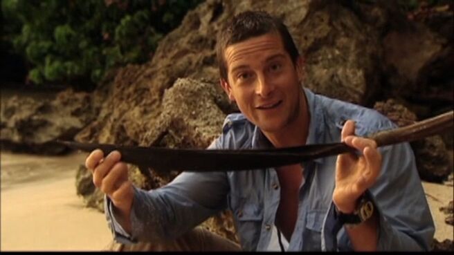 Man vs. Wild season 1 episode 9 on Discovery Plus