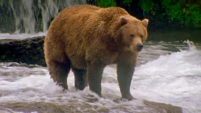 Predator Countdown season 1 episode 3 on Discovery Plus