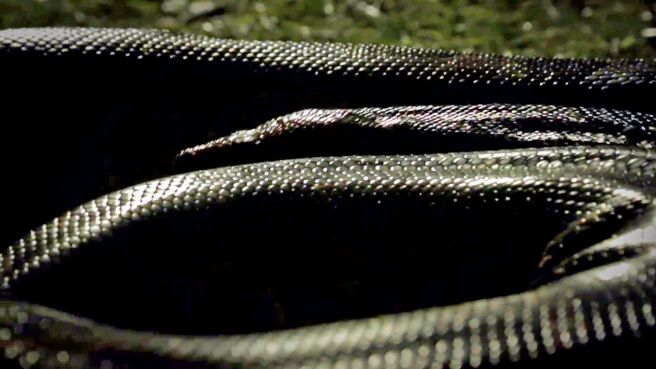 Devoured: Man-Eating Super Snake Returns season 1 episode 1 on Discovery Plus