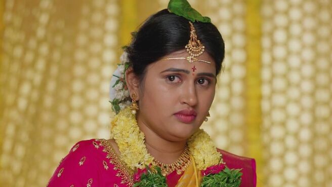 Maa Annayya season 1 episode 10 on Zee5