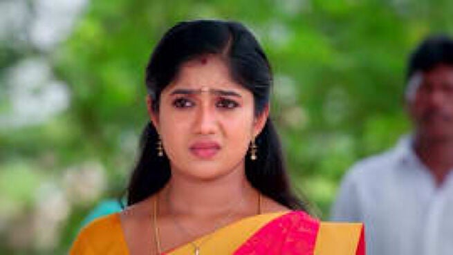 Meenakshi Ponnunga season 1 episode 243 on Zee5