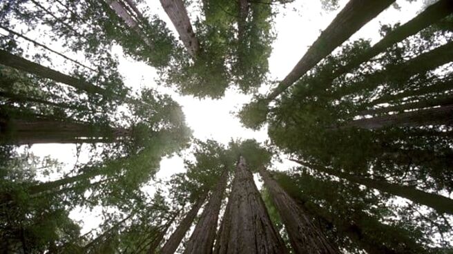 Planet Earth season 1 episode 10 on Sony LIV
