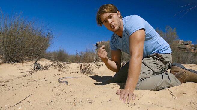 Deadliest Snakes Of South Africa season 1 episode 3 on Discovery Plus