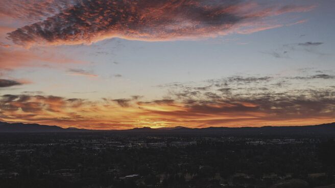 American Cartel season 1 episode 2 on Discovery Plus