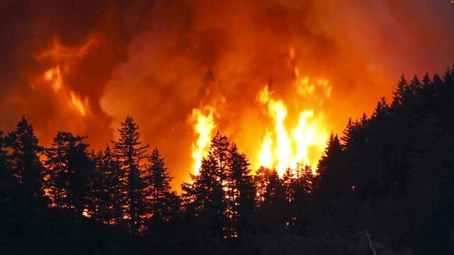 Decoding Disasters season 1 episode 4 on Discovery Plus