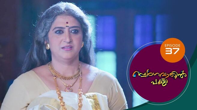 Swargavathil Pakshi season 1 episode 37 on Sun NXT