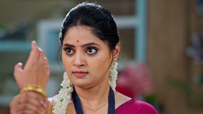 Janaki Ramayya Gari Manavaralu season 1 episode 5 on Zee5