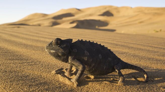 Life season 1 episode 2 on Discovery Plus