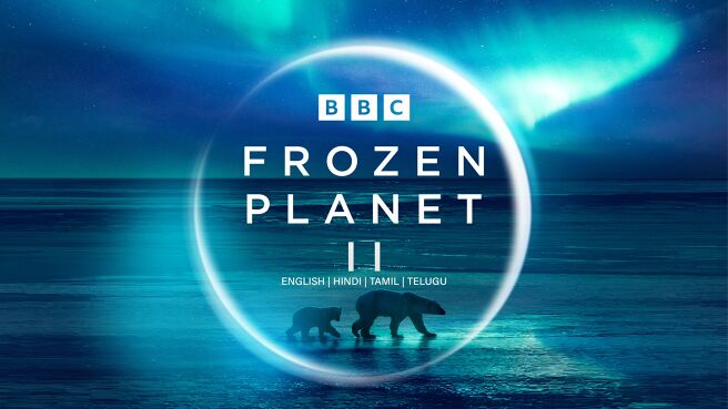 Frozen Planet II on Discovery Plus