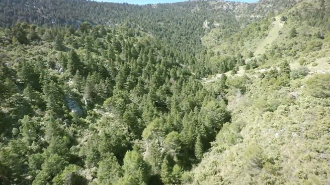 Jungle Planet season 1 episode 17 on Discovery Plus