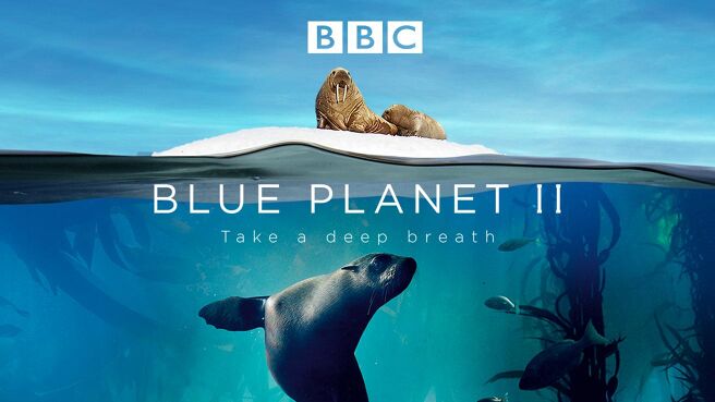 Blue Planet II on Discovery Plus