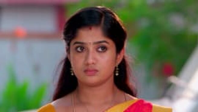 Meenakshi Ponnunga season 1 episode 244 on Zee5