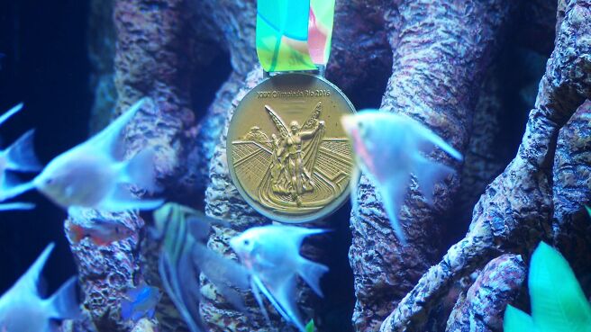 Tanked season 6 episode 13 on DiscoveryPlus