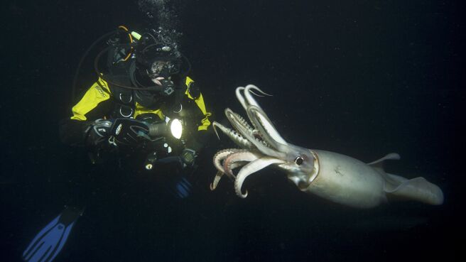 Life season 1 episode 8 on Discovery Plus