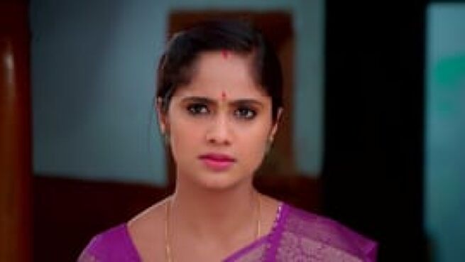 Vidhya No. 1 season 1 episode 395 on Zee5