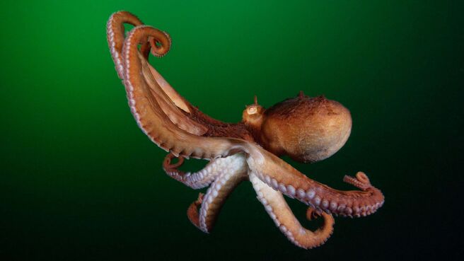 The Americas season 1 episode 9 on Discovery Plus