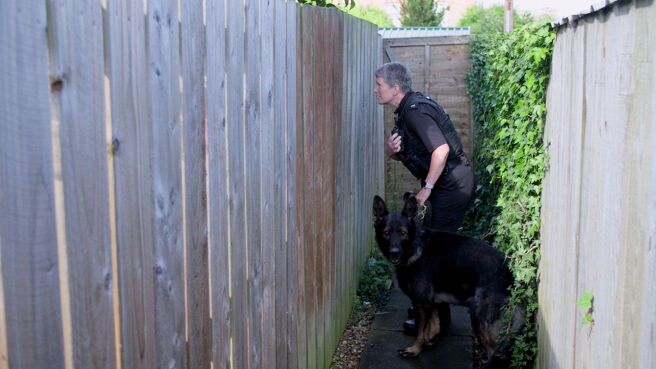 Dog Detectives season 1 episode 5 on Discovery Plus