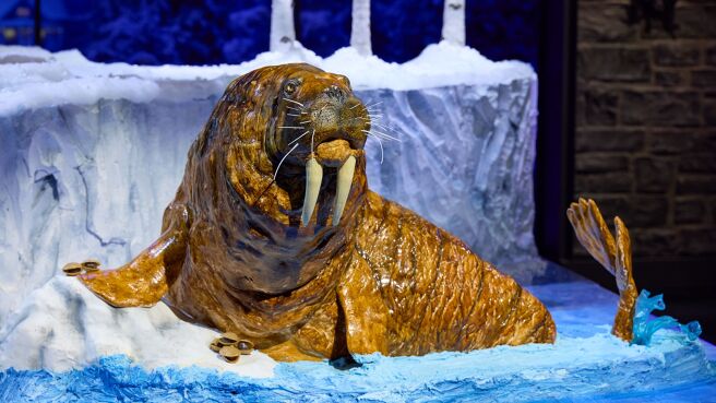 Episode 5 on Discovery Plus