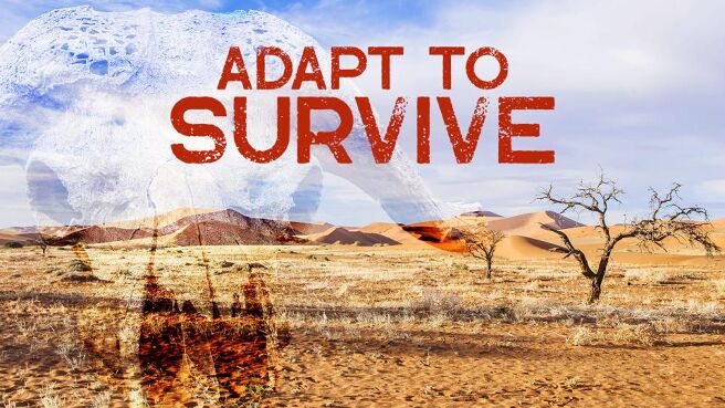 Adapt To Survive on Discovery Plus