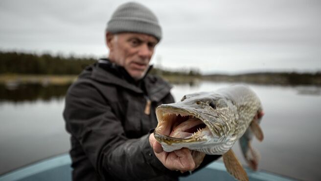 Jeremy Wade's Dark Waters season 1 episode 9 on Discovery Plus