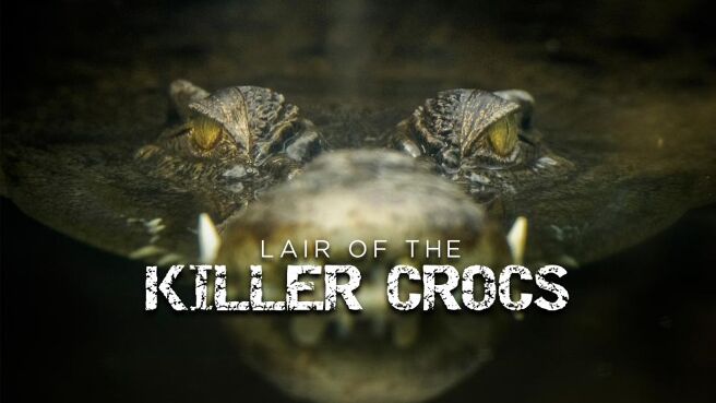 Lair Of The Killer Crocs on Discovery Plus