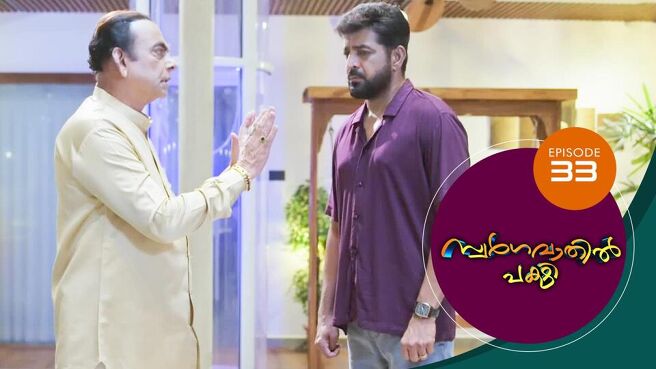 Swargavathil Pakshi season 1 episode 33 on Sun NXT