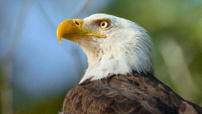 The Americas season 1 episode 1 on Discovery Plus