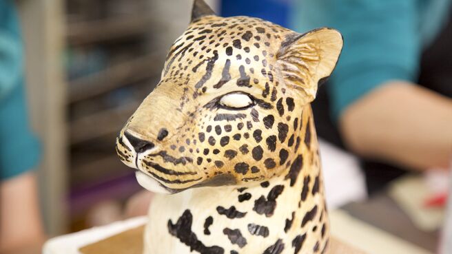 Ridiculous Cakes season 1 episode 11 on Discovery Plus