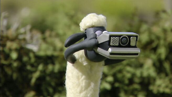 Shaun The Sheep season 1 episode 19 on Discovery Plus