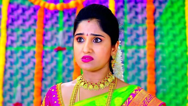 Kalyana Vaibhogam season 1 episode 1446 on Zee5