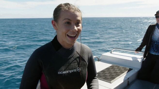 Crikey! It's the Irwins season 2 episode 8 on Discovery Plus