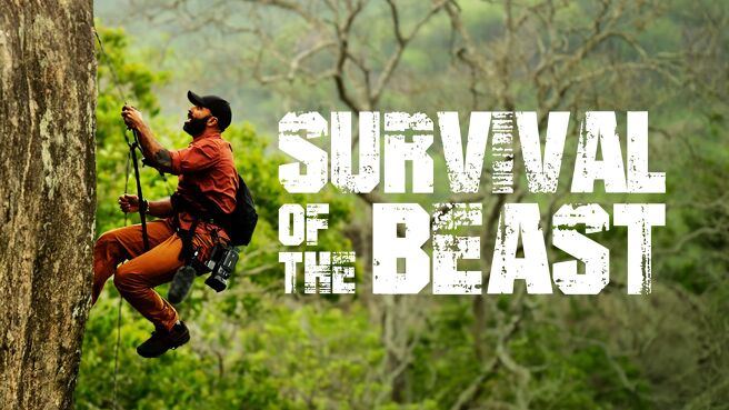 Survival of the Beast on Discovery Plus