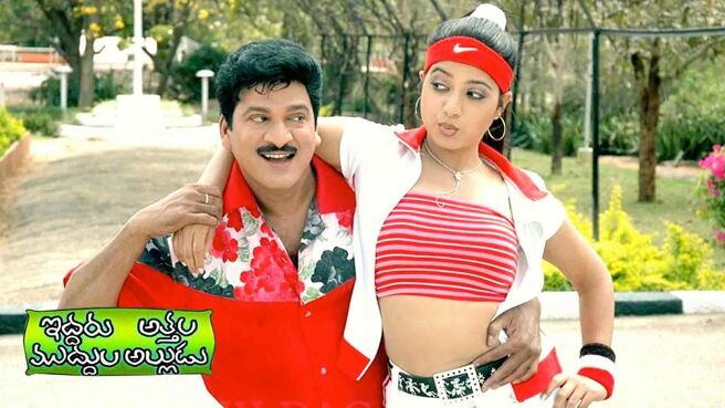 Iddaru Attala Muddula Alludu on Sun NXT
