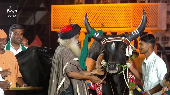 MahaShivRatri: A Night with the Divine season 1 episode 33 on Zee5