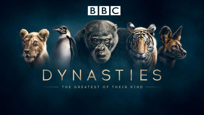 Dynasties on DiscoveryPlus
