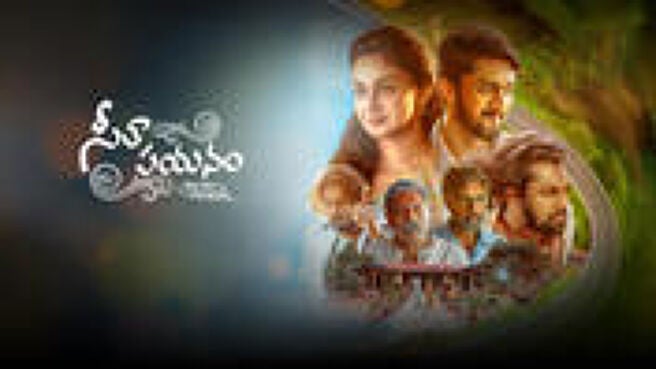 Seetha Payanam on Sun NXT