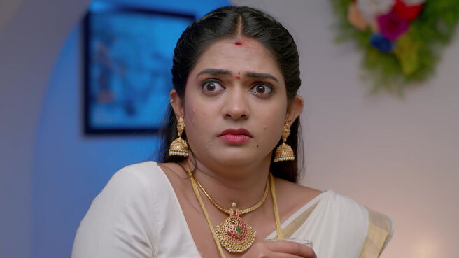 Smart Play - Nindu Noorella Saavasam season 1 episode 33 on Zee5