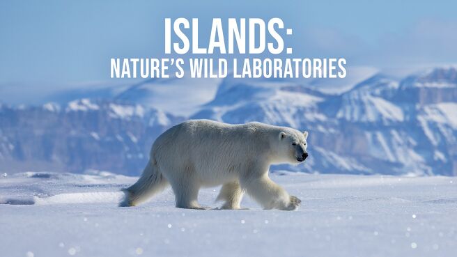 Islands: Nature’s Wild Laboratories on Discovery Plus