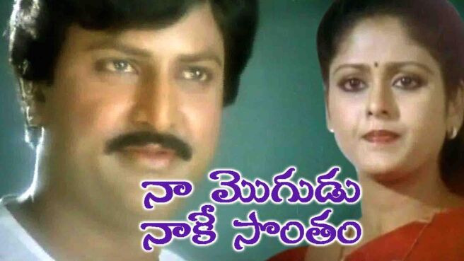 Naa Mogudu Naake Sontham on Sun NXT