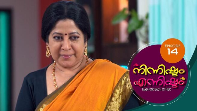Ninnishtam Ennishtam season 1 episode 14 on Sun NXT