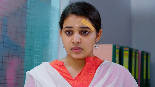 Geetha Govinda season 1 episode 47 on Zee5