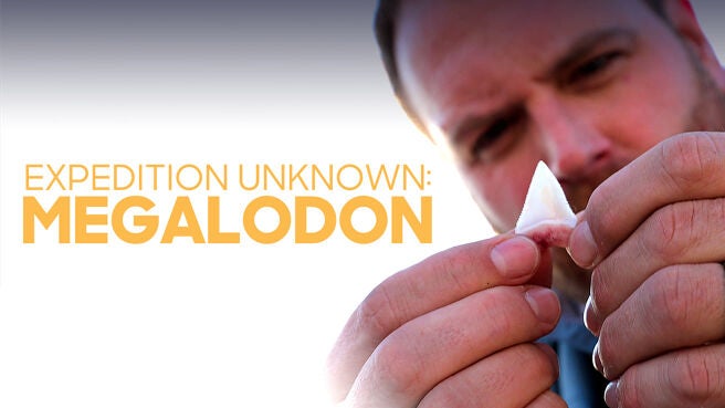 Expedition Unknown: Megalodon on Discovery Plus
